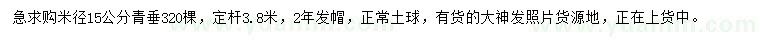 求購米徑15公分青垂