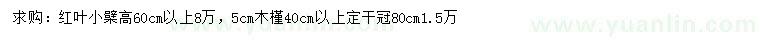 求購高60公分以上紅葉小檗、5公分木槿