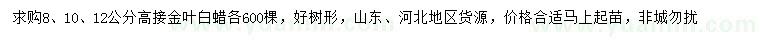 求購8、10、12公分高接金葉白蠟