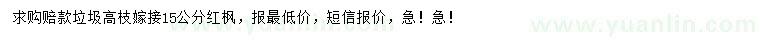 求購15公分嫁接紅楓