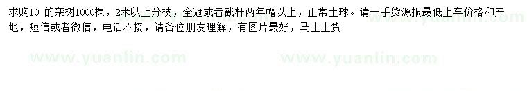求購10公分欒樹