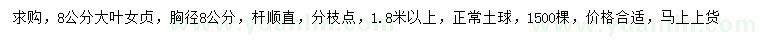 求購(gòu)8公分大葉女貞