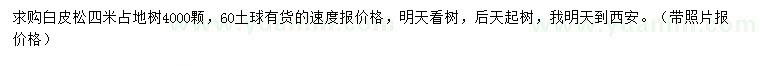 求購4米白皮松
