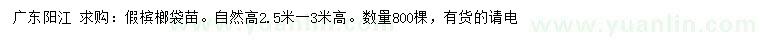 求購高2.5-3米假檳榔袋苗