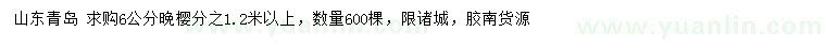 求購6公分晚櫻