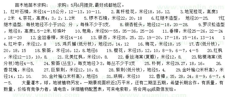 求購紅葉石楠、高桿桂花、地籠桂花等