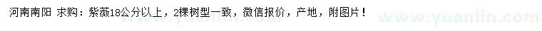 求購18公分以上紫薇