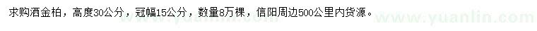 求購高30公分灑金柏
