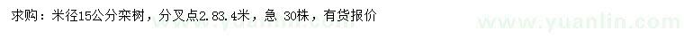 求購15公分欒樹