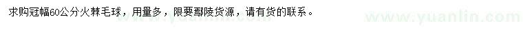 求購(gòu)冠幅60公分火棘毛球