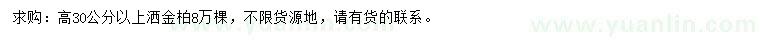 求購高30公分以上灑金柏