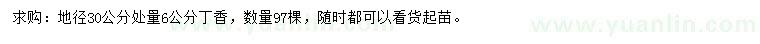 求購地徑30公分處量6公分丁香