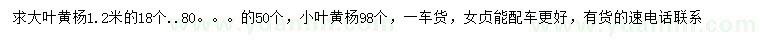 求購80、120公分大葉黃楊、98公分小葉黃楊