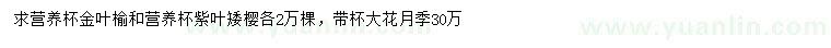 求購金葉榆、紫葉矮櫻、大花月季