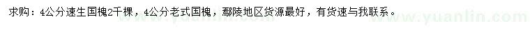 求購(gòu)4公分速生國(guó)槐、老式國(guó)槐
