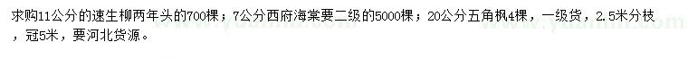 求購(gòu)速生柳、西府海棠、五角楓