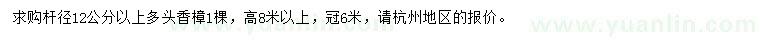 求購桿徑12公分以上多頭香樟