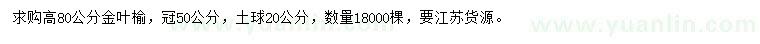 求購高80公分金葉榆