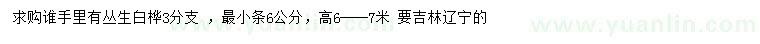 求購(gòu)高6-7米叢生白樺