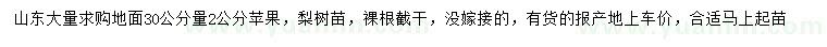 求購地面30公分量2公分蘋、，梨樹苗