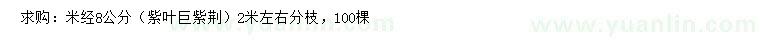 求購米徑8公分紫葉巨紫荊