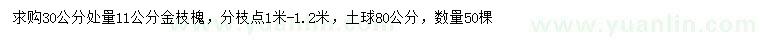 求購30公分處量11公分金枝槐