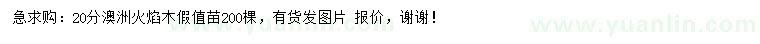 求購20公分澳洲火焰木假值苗