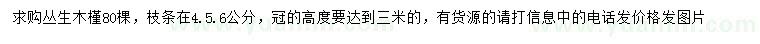 求購叢生木槿