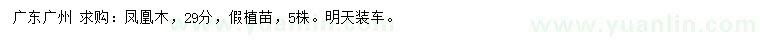 求購(gòu)29公分鳳凰木假植苗