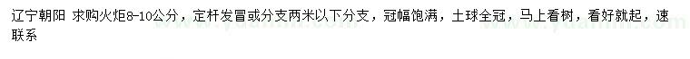 求購8-10公分火炬