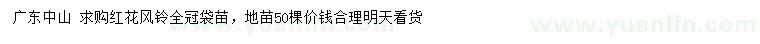 求購紅花風(fēng)鈴