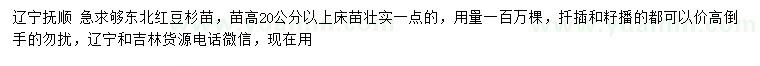 求購高20公分以上紅豆杉苗