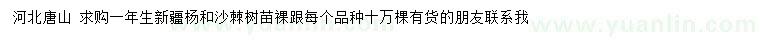 求購一年生新疆楊、沙棘樹苗
