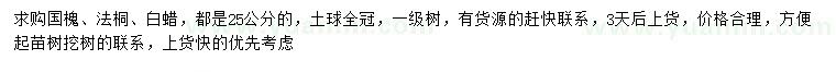 求購國槐、法桐、白蠟