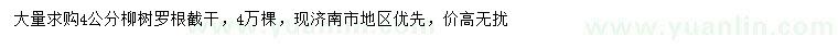 求購(gòu)4公分柳樹(shù)