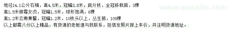 求購石楠、銀霜女貞、云南黃馨