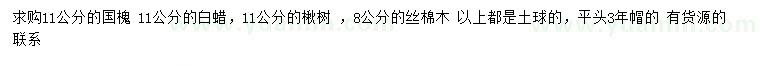 求購(gòu)國(guó)槐、白蠟、楸樹等