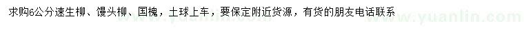 求購速生柳、饅頭柳、國槐