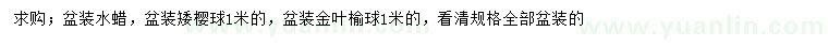 求購水蠟、矮櫻球、金葉榆球