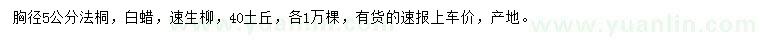 求購(gòu)法桐、白蠟、速生柳