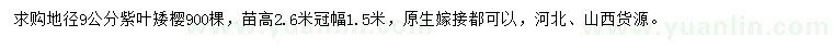 求購地徑9公分紫葉矮櫻