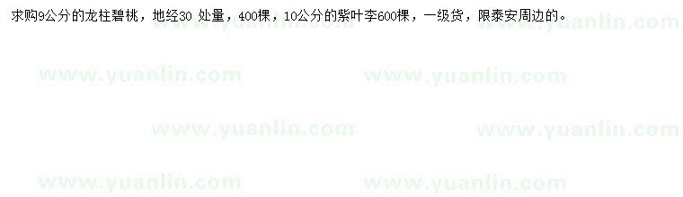 求購地徑30公分量9公分龍柱碧桃、10公分紫葉李