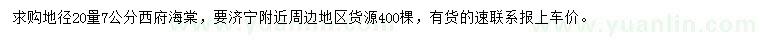 求購地徑20量7公分西府海棠