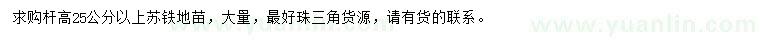 求購桿高25公分以上蘇鐵