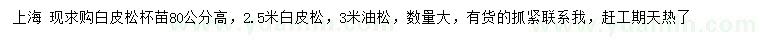 求購2.5米白皮松、3米油松