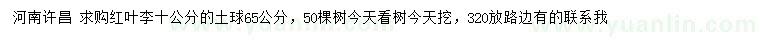 求購10公分紅葉李