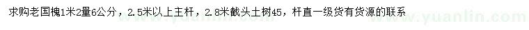 求購1.2米量6公分老國槐