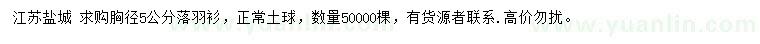 求購(gòu)胸徑5公分落羽衫