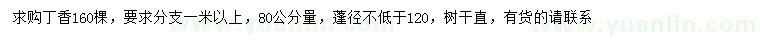 求購(gòu)80公分量蓬徑120公分以上丁香