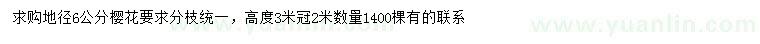 求購地徑6公分櫻花